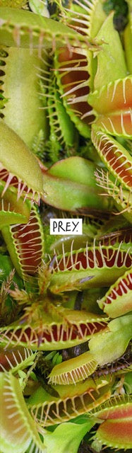 Prey Griptape Flowers